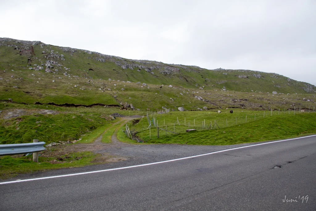 byrjan-velbasta-ur-2019-06-18-torshavn---velbasta-ur-og-reynsm-li-013-img-0020-jpg
