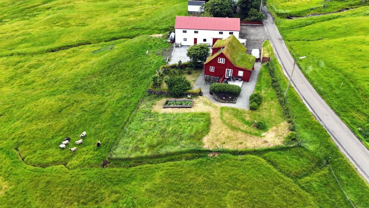Taste & Experience Faroese Tradition 