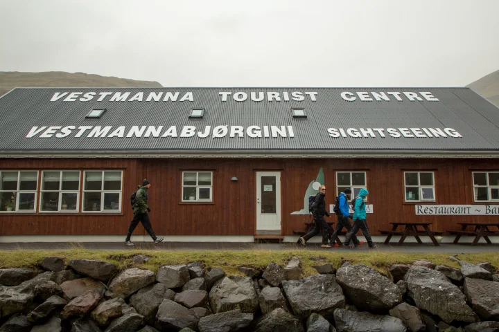 Sightseeing Bird Cliffs & Cruises