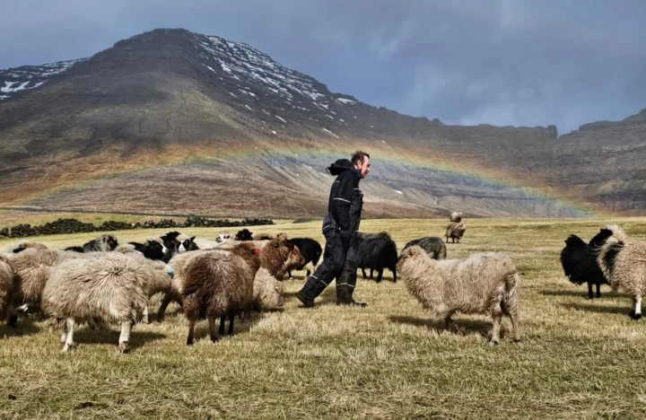 Leitisgarður Farm in Viðareiði