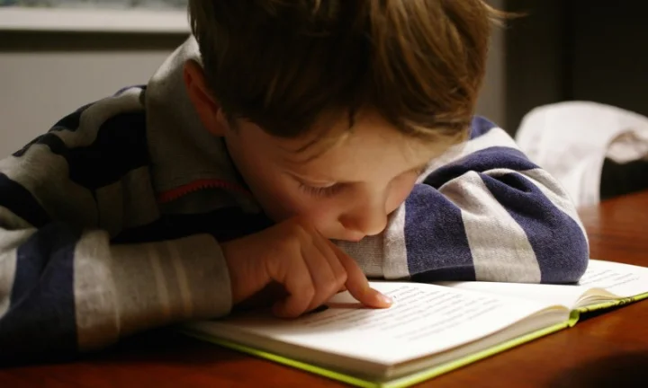 Why Should We Read - More?