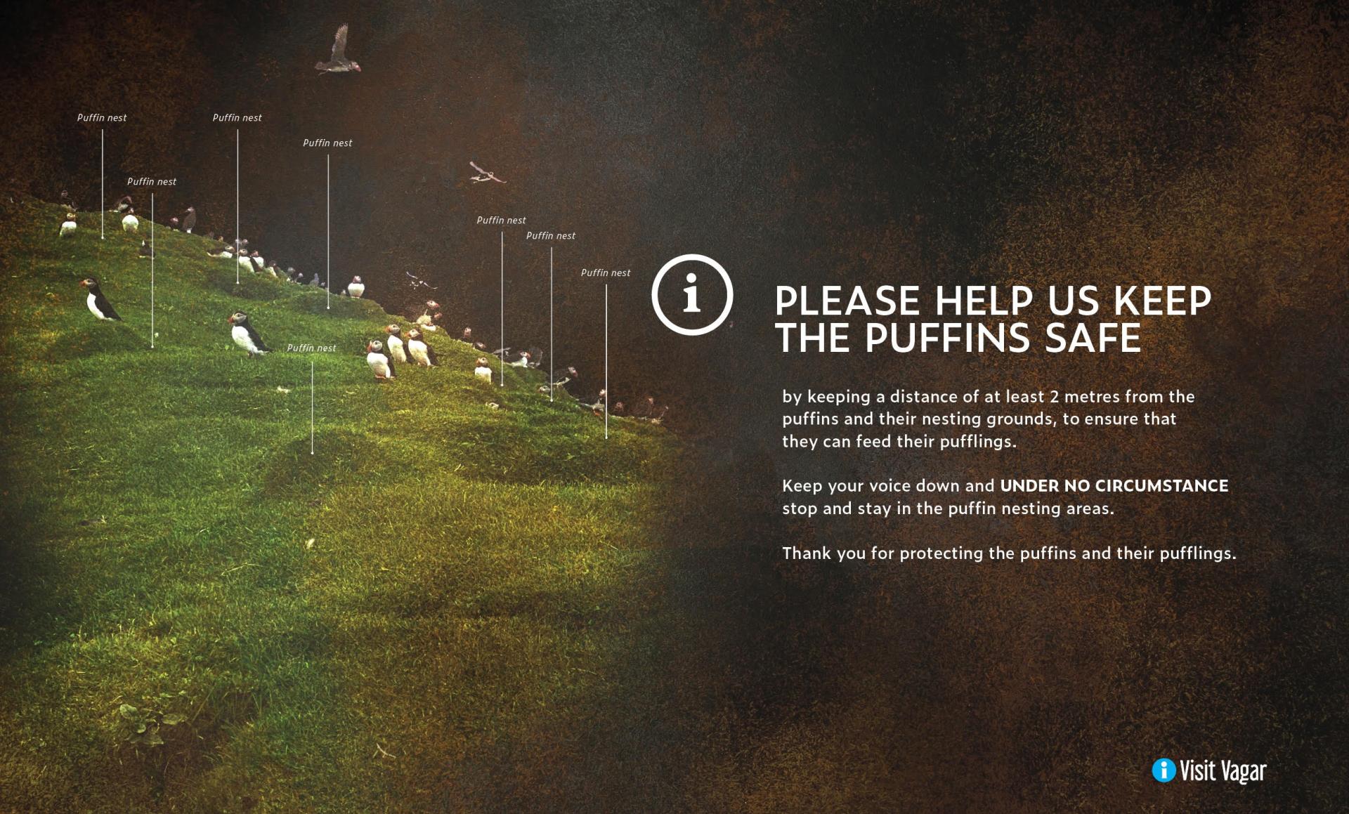 Thumbnail of - Please help us keep the puffins safe