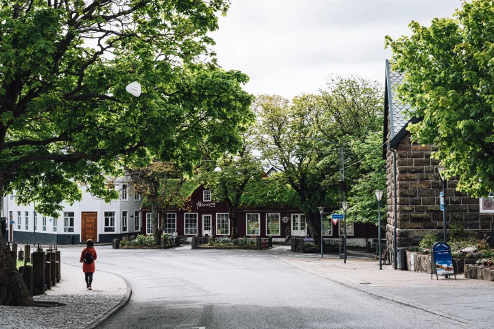 Vaglið (The square)